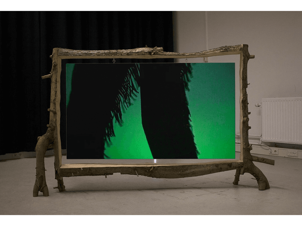 Bobby Bear Back Goes Fisching